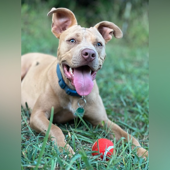 🙋🏻‍♀️Hi, I’m Katie!💕 - Picture 4 of 11